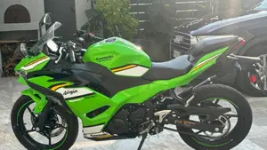 Kawasaki Ninja 500 SE Sport (2025 - 26)  (3)