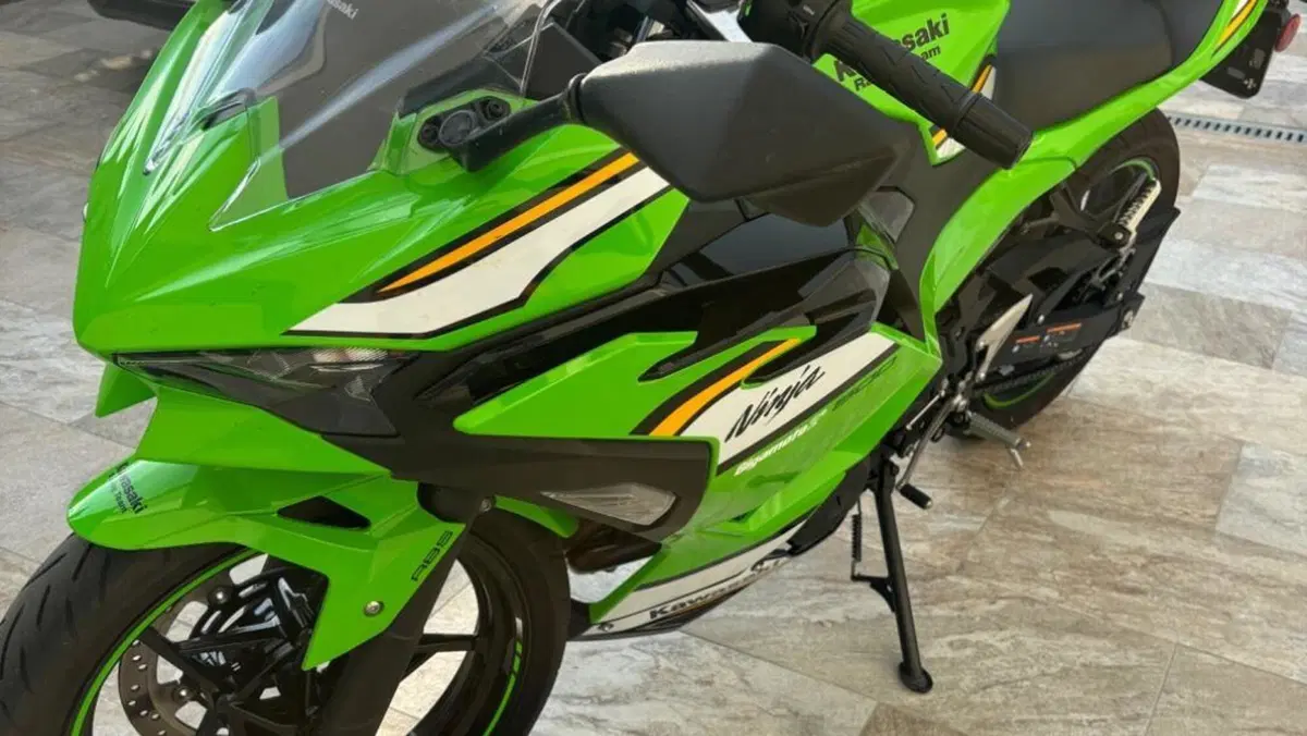 Kawasaki Ninja 500 SE Sport (2025 - 26)  (4)