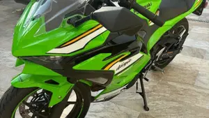 Kawasaki Ninja 500 SE Sport (2025 - 26)  (4)