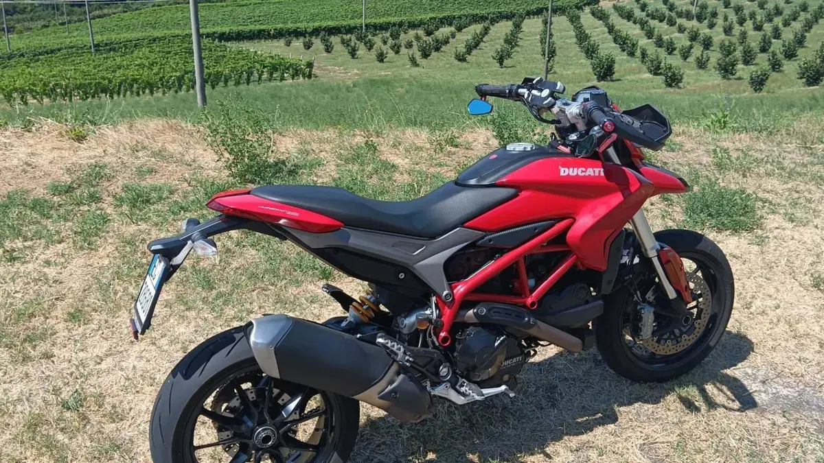 Ducati Hypermotard 939 (2016 - 18)  (3)