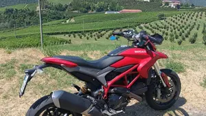 Ducati Hypermotard 939 (2016 - 18)  (4)