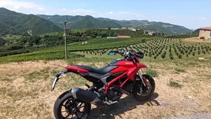 Ducati Hypermotard 939 (2016 - 18)  (5)