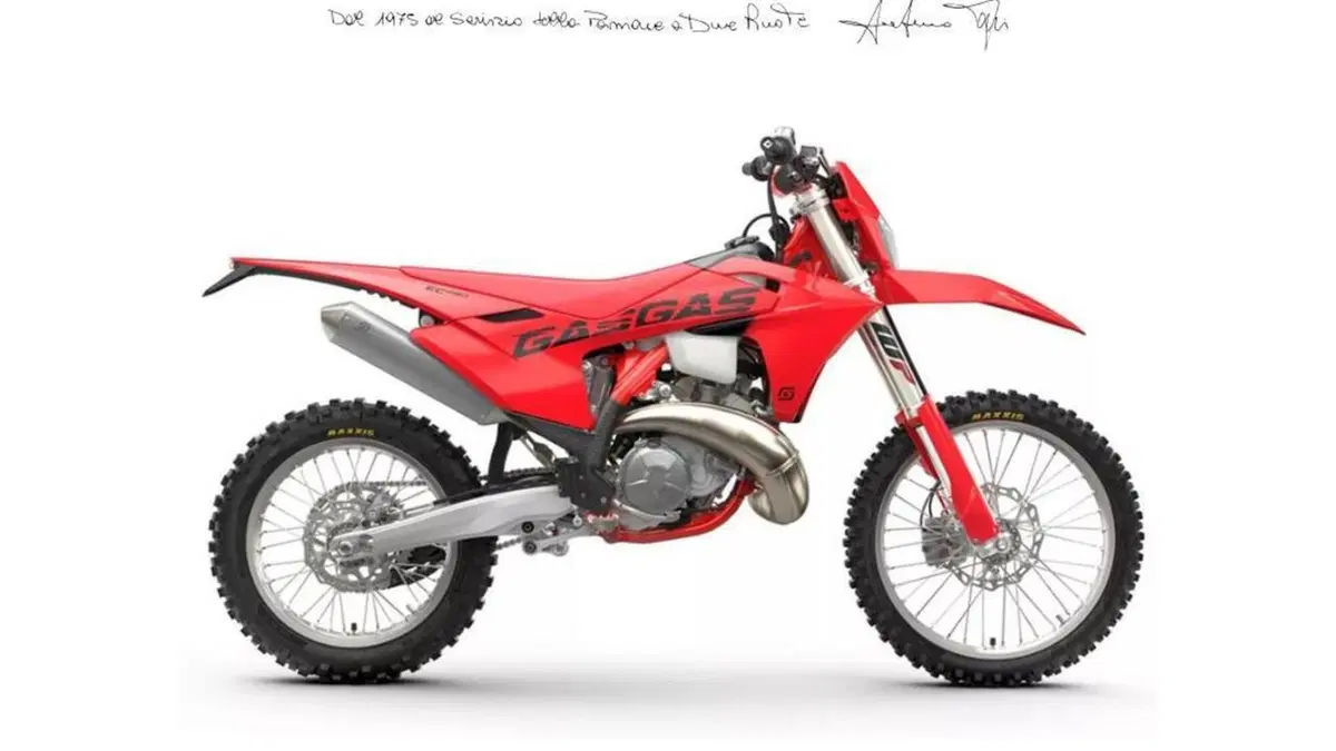GASGAS EC 250 (2025) 