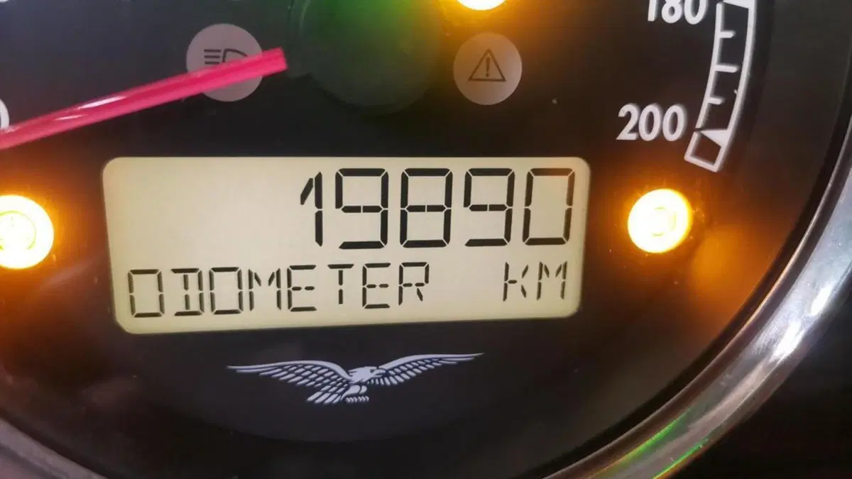 Moto Guzzi V7 Special (2021 - 24)  (6)
