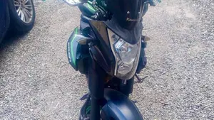 Kawasaki ER-6N ABS (2012 - 16)  (2)