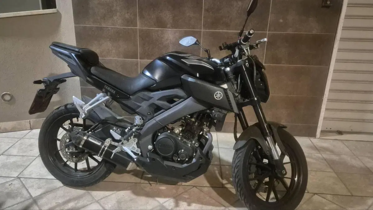 Yamaha MT-125 ABS (2017 - 19)  (4)