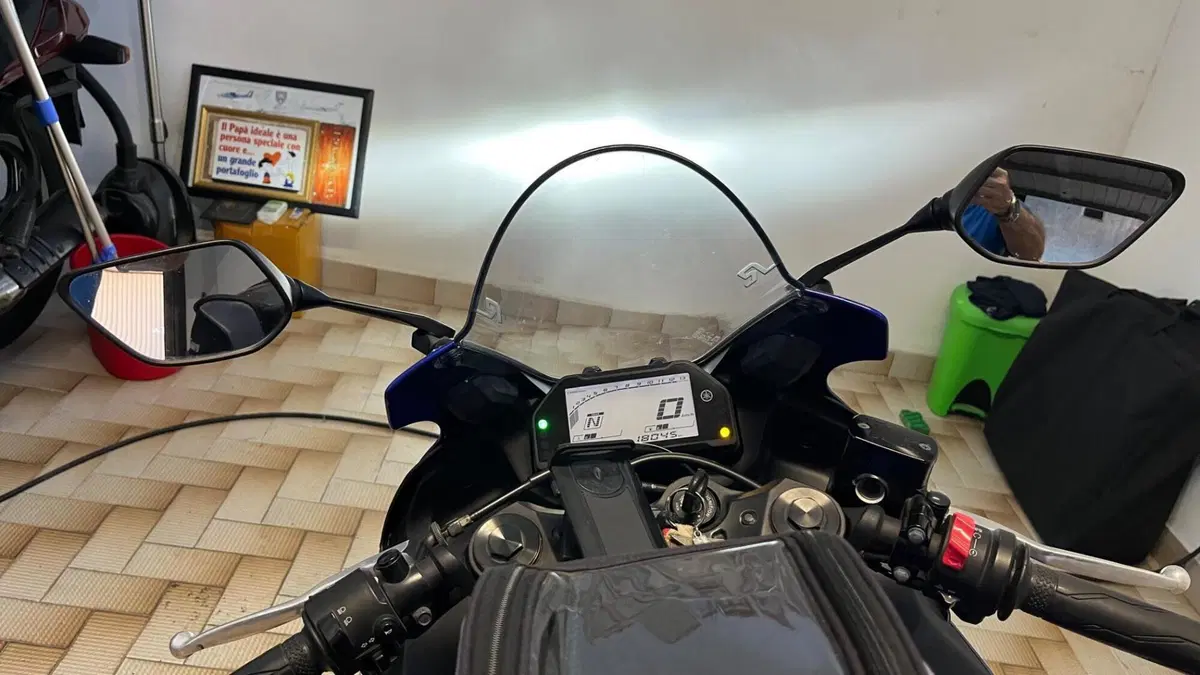 Yamaha YZF R3 (2019 - 20)  (5)
