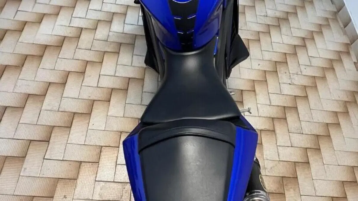 Yamaha YZF R3 (2019 - 20)  (8)