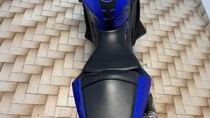 Yamaha YZF R3 (2019 - 20)  (8)