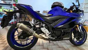 Yamaha YZF R3 (2019 - 20)  (9)