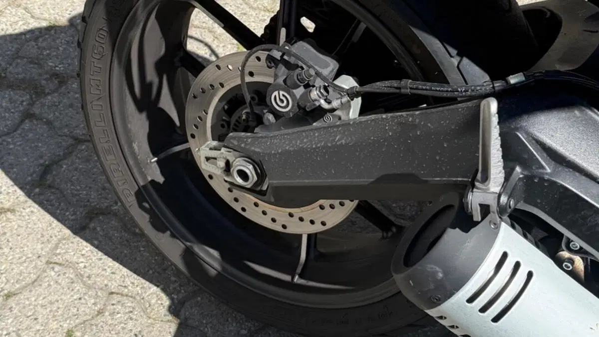 Ducati Scrambler 800 Icon (2021 - 22)  (9)