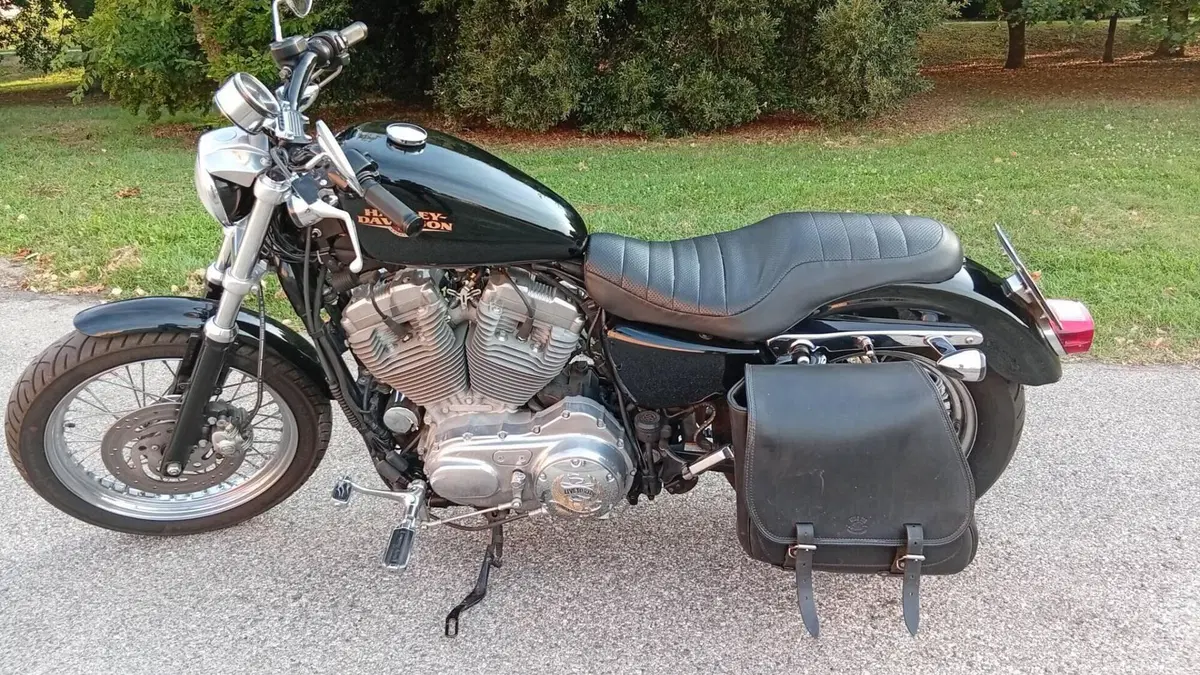Harley-Davidson 883 (2008 - 09) - XL  (3)
