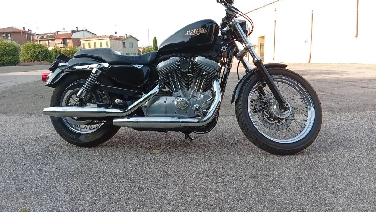 Harley-Davidson 883 (2008 - 09) - XL  (5)