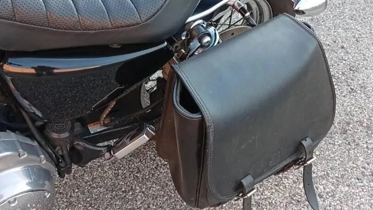 Harley-Davidson 883 (2008 - 09) - XL  (12)