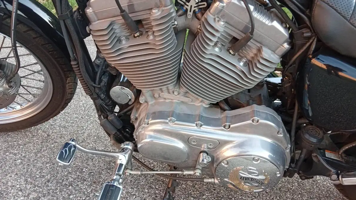 Harley-Davidson 883 (2008 - 09) - XL  (13)