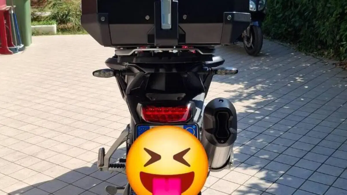 Triumph Tiger 900 GT Pro (2024 - 26)  (5)