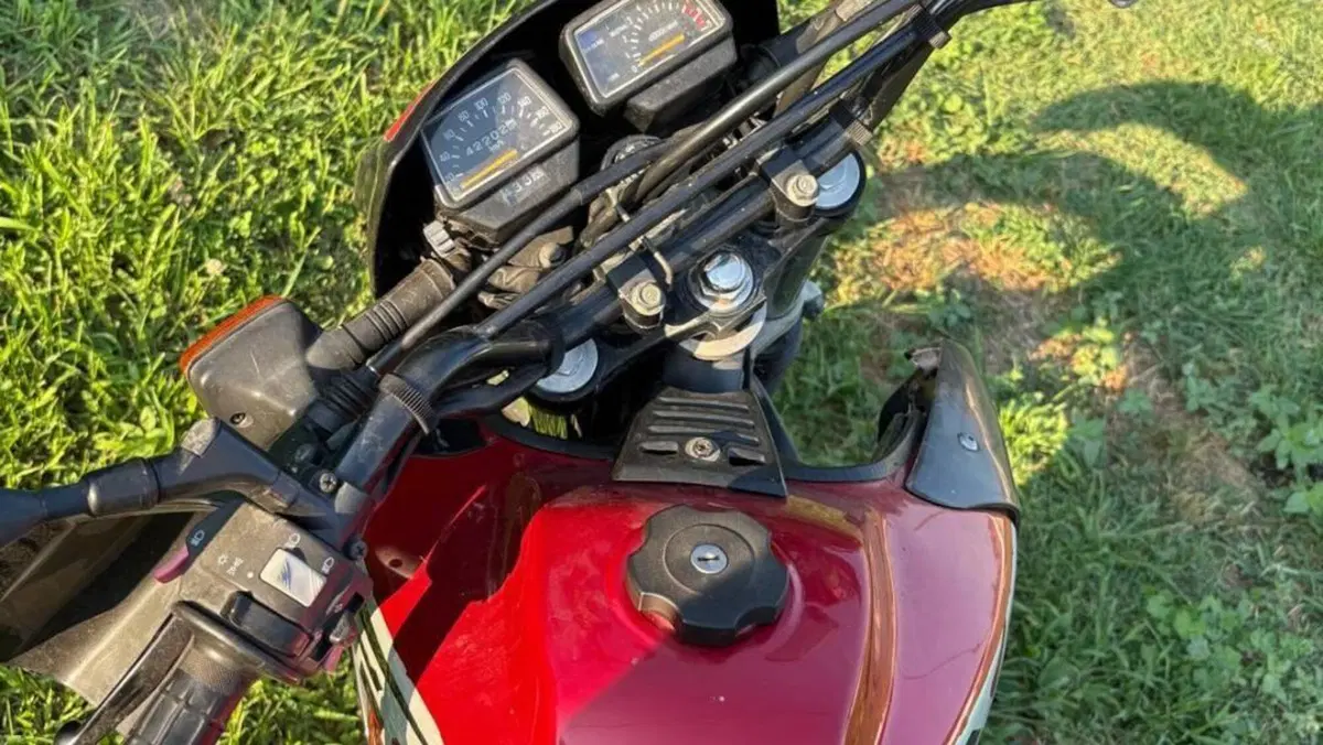 Yamaha XT 600 E (1990 - 04)  (6)