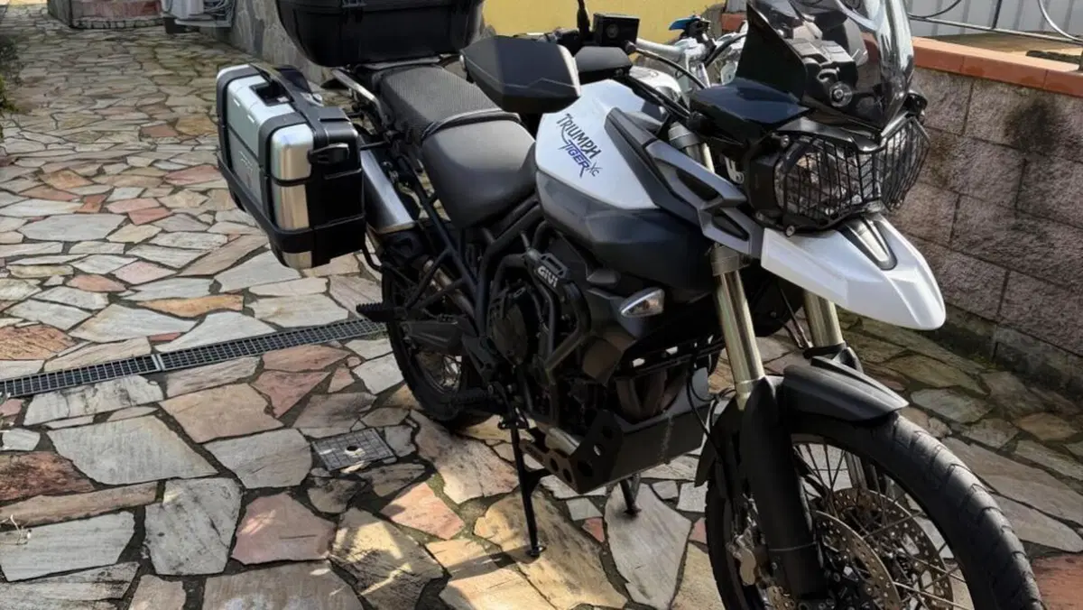 Triumph Tiger 800 XC (2011 - 12)  (3)