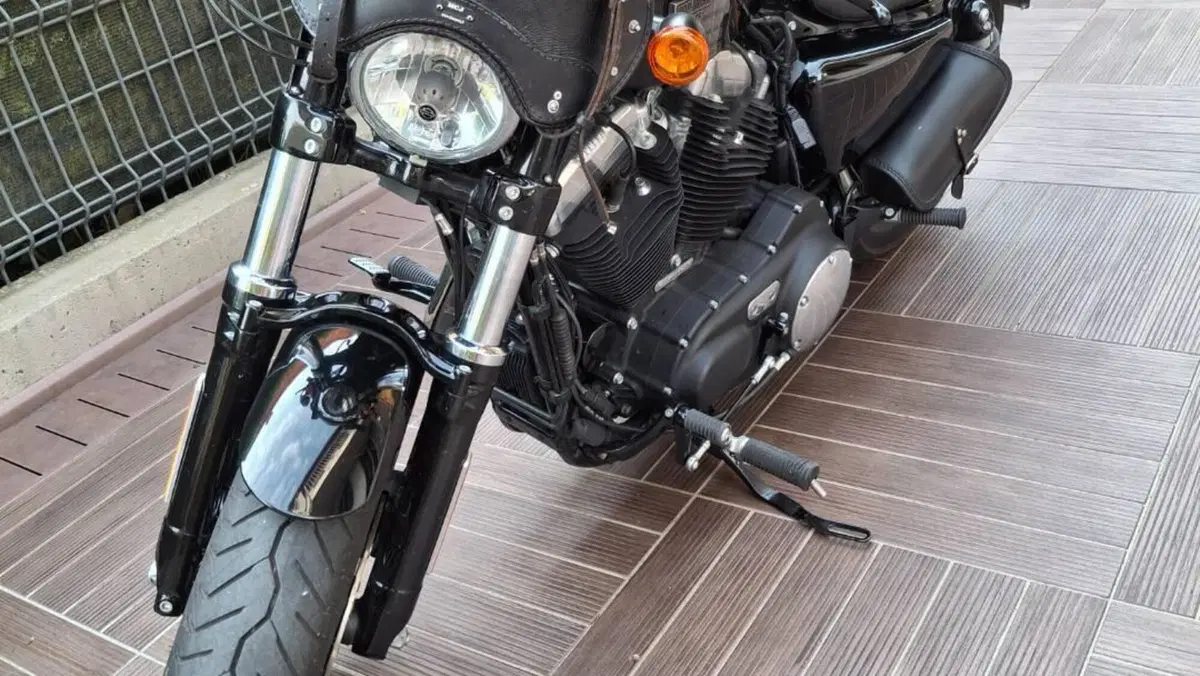 Harley-Davidson 1200 Forty-Eight (2016 - 20)  (4)