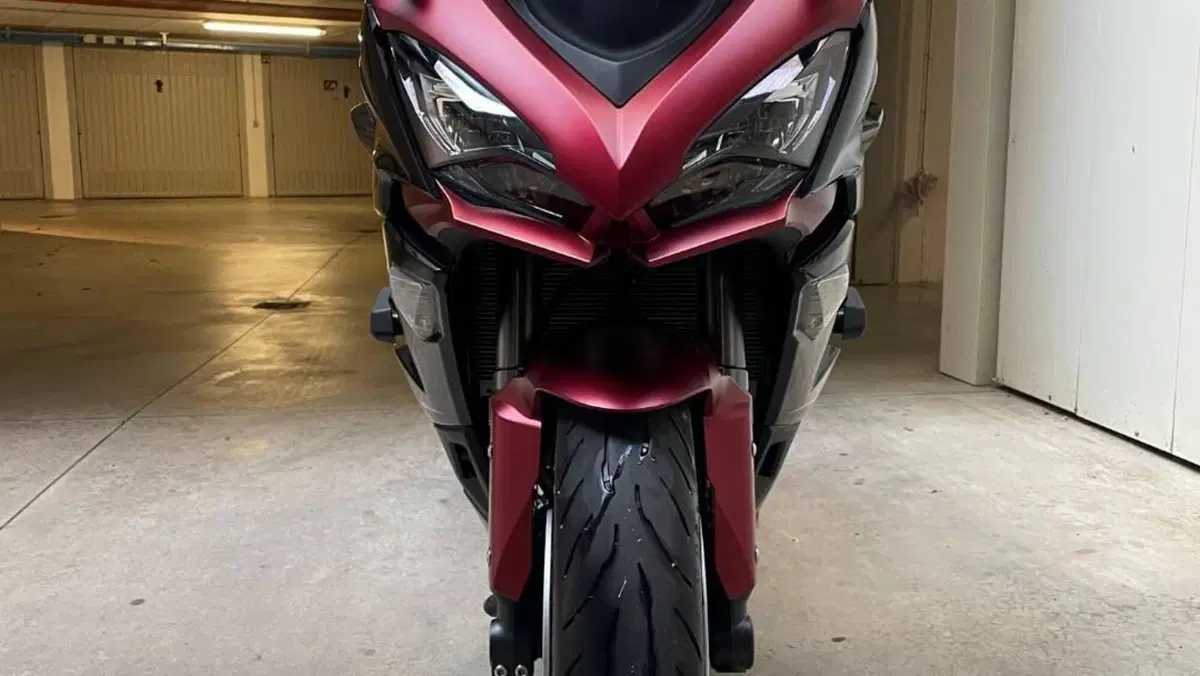 Kawasaki Ninja 1000 SX Tourer (2021 - 24)  (3)