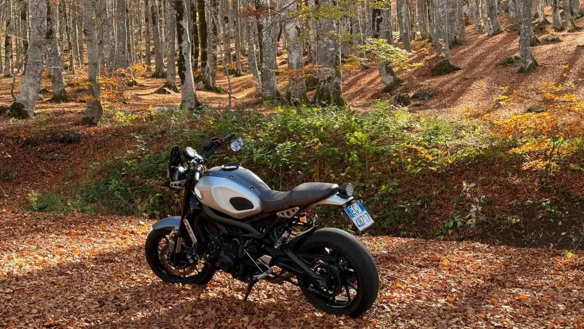 Yamaha XSR 900 ABS (2016 - 20)  (5)