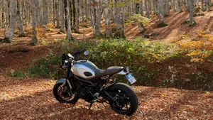 Yamaha XSR 900 ABS (2016 - 20)  (5)