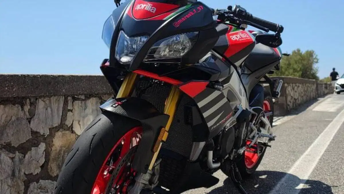 Aprilia Tuono V4 Factory (2019 - 20)  (4)