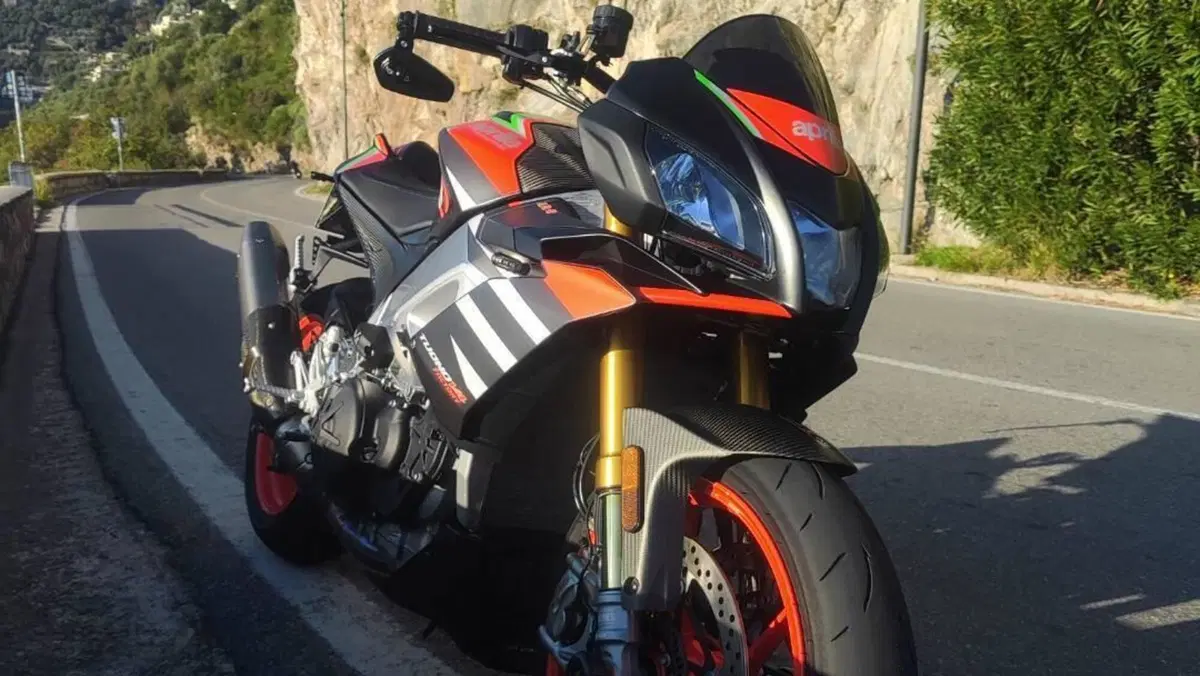 Aprilia Tuono V4 Factory (2019 - 20)  (7)