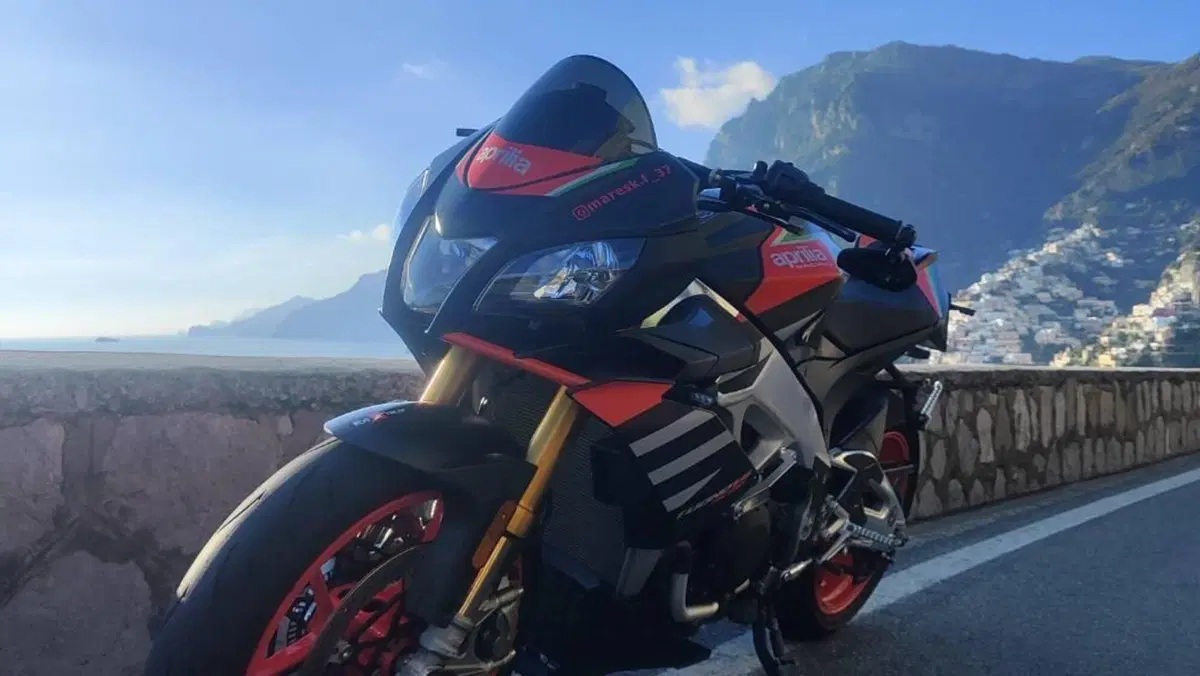 Aprilia Tuono V4 Factory (2019 - 20)  (9)