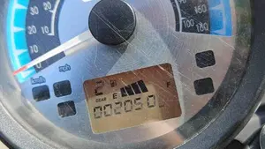 Um Italia Renegade Sport 125 (2023 - 26)  (6)