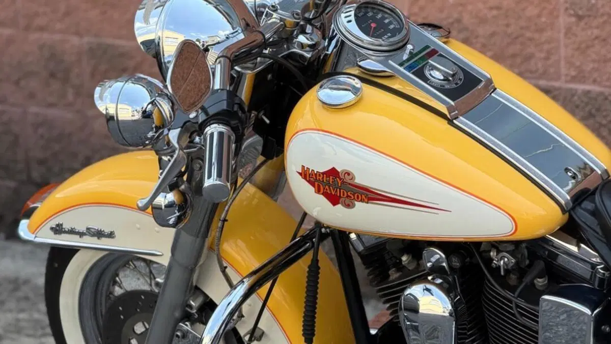 Harley-Davidson 1340 Heritage Classic (1984 - 98) - FLSTC  (6)