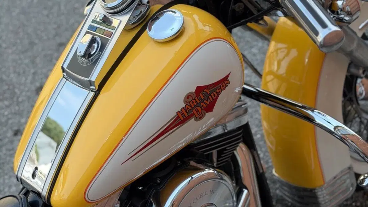 Harley-Davidson 1340 Heritage Classic (1984 - 98) - FLSTC  (7)