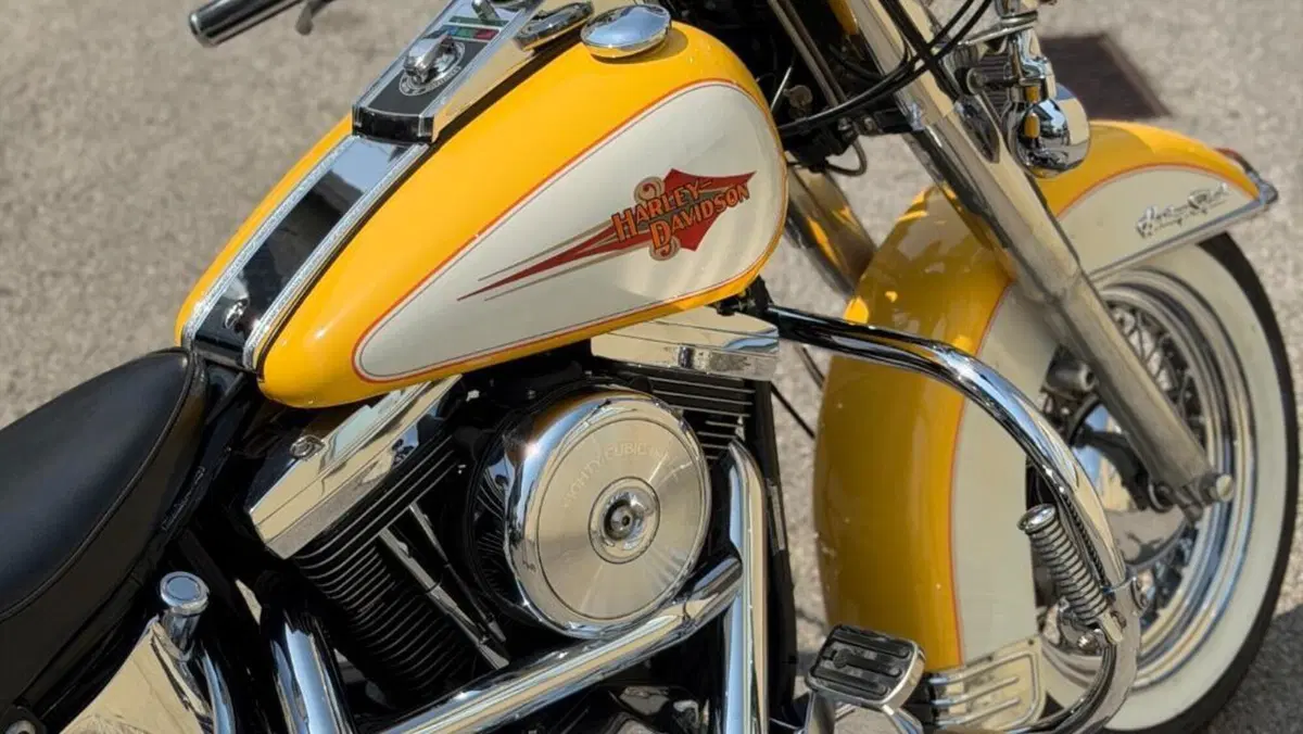 Harley-Davidson 1340 Heritage Classic (1984 - 98) - FLSTC  (8)