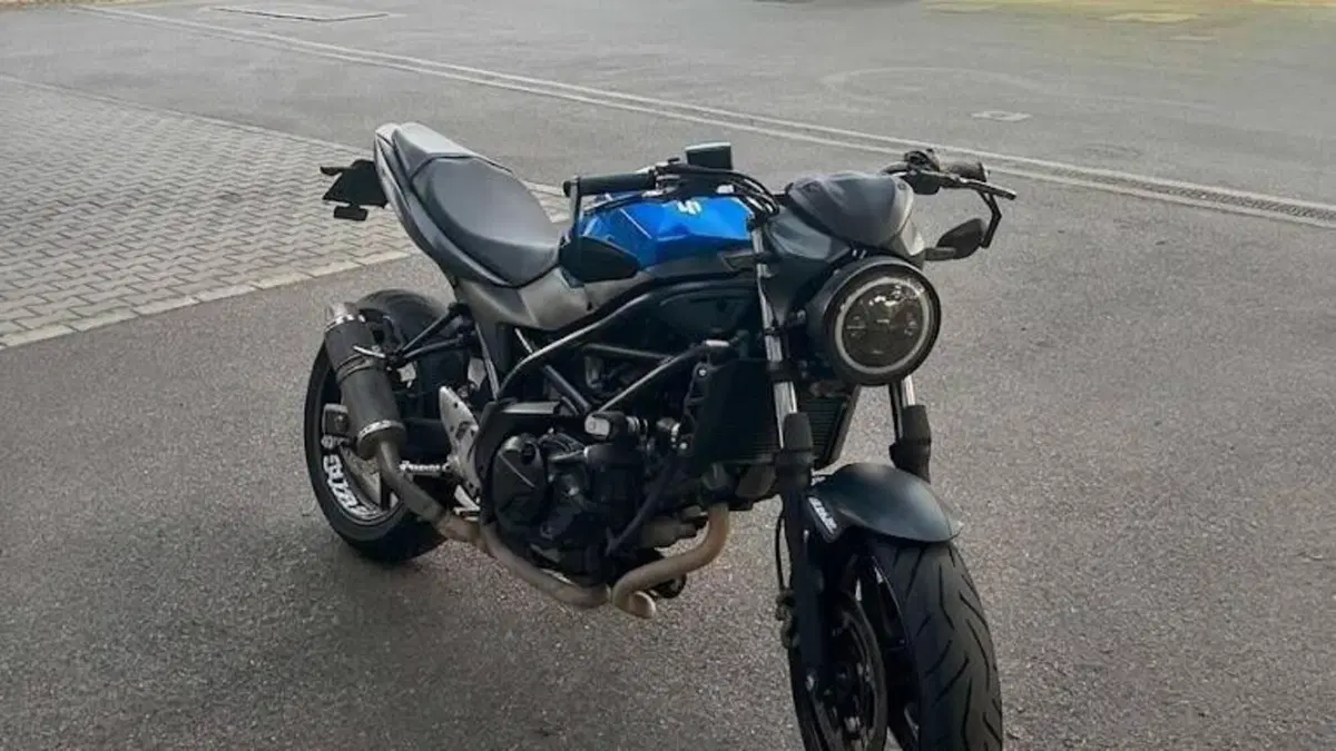 Suzuki SV 650 (2016 - 20)  (2)