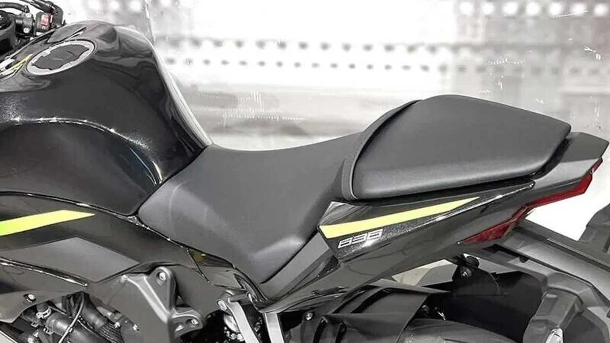 Kawasaki Ninja 125 (2025 - 26)  (4)