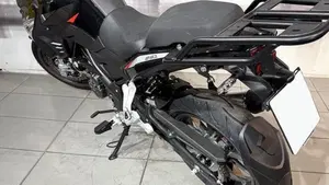 Benelli TRK 251 (2022 - 25)  (4)