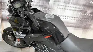 Benelli TRK 251 (2022 - 25)  (9)