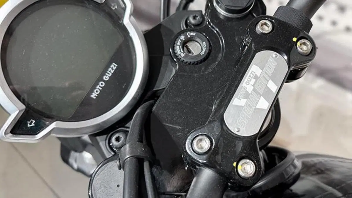Moto Guzzi V7 Special (2021 - 24)  (6)