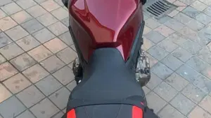 Honda CB 650 R (2021 - 23)  (2)