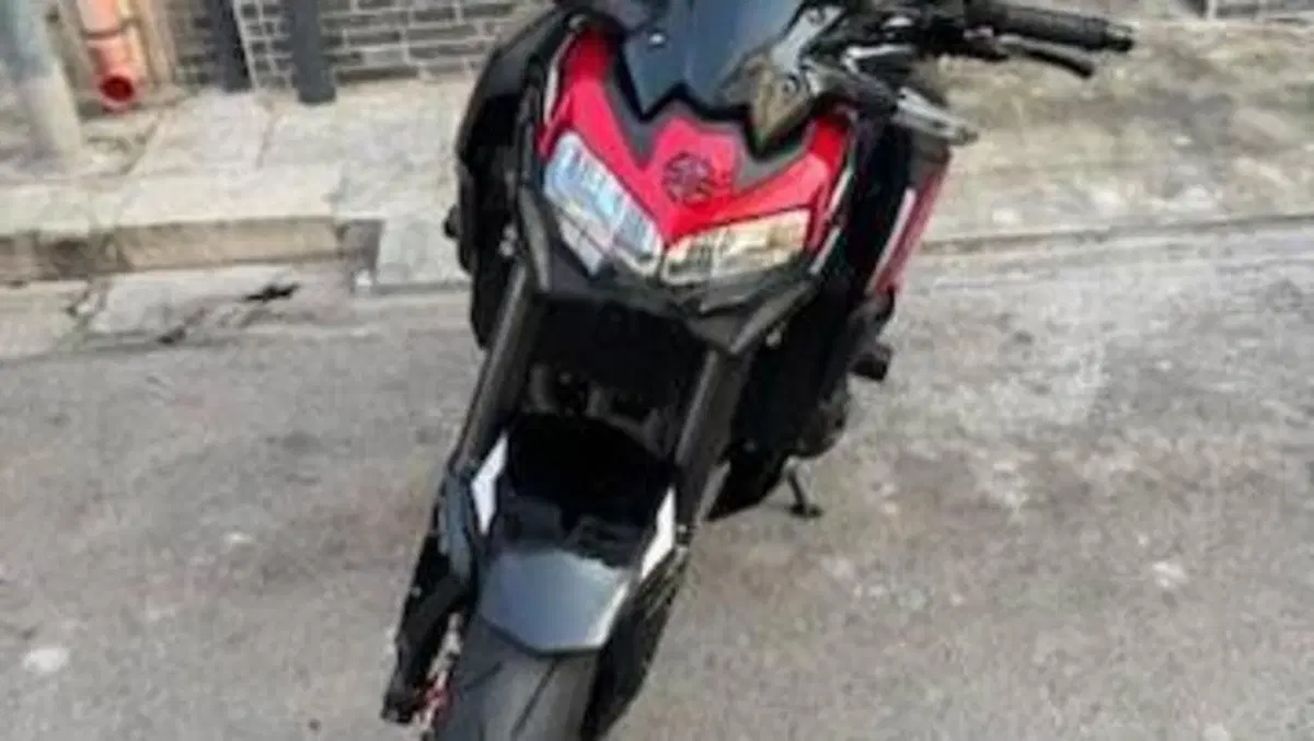 Kawasaki Z 900 (2021 - 24)  (2)