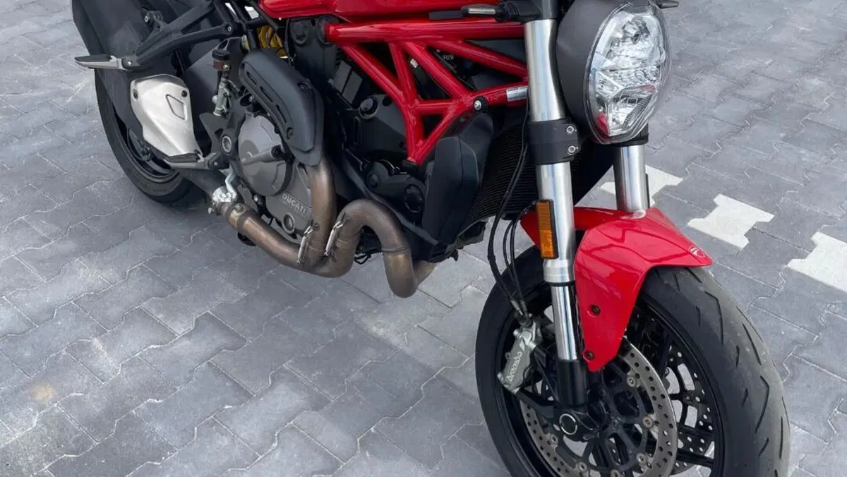 Ducati Monster 821 (2018 - 20)  (2)