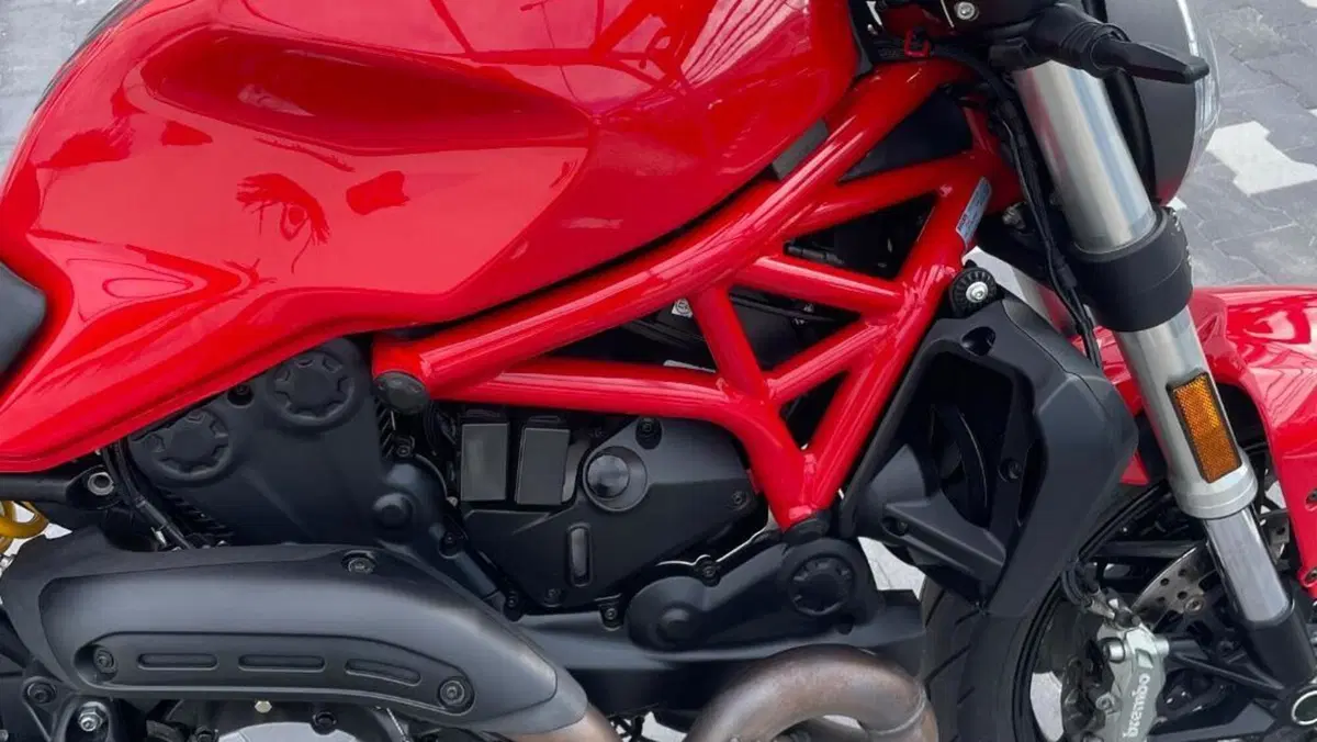 Ducati Monster 821 (2018 - 20)  (6)