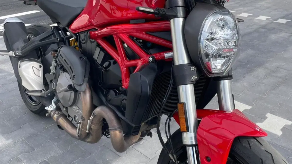 Ducati Monster 821 (2018 - 20)  (7)