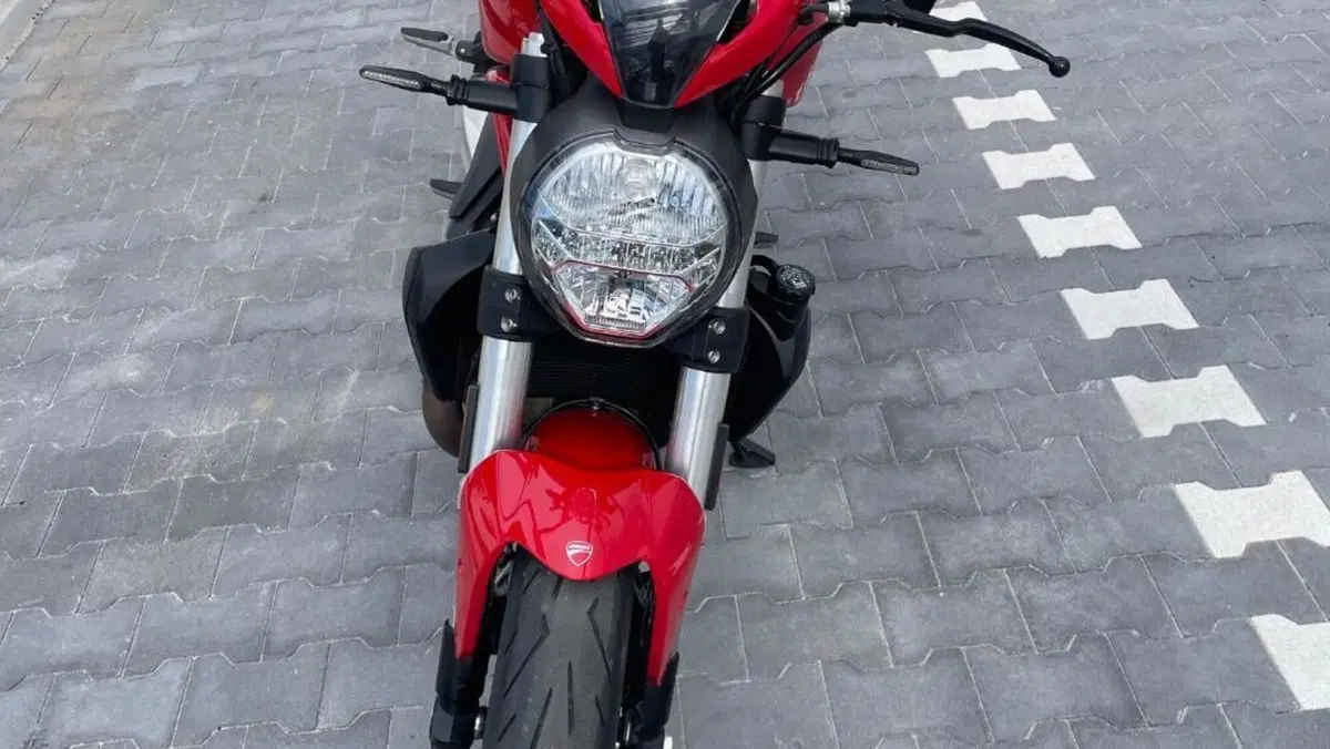 Ducati Monster 821 (2018 - 20)  (8)