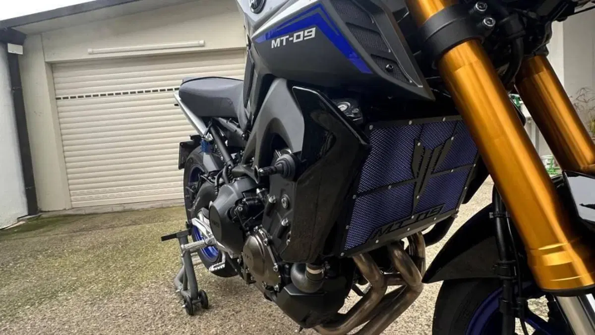 Yamaha MT-09 SP (2018 - 20)  (6)