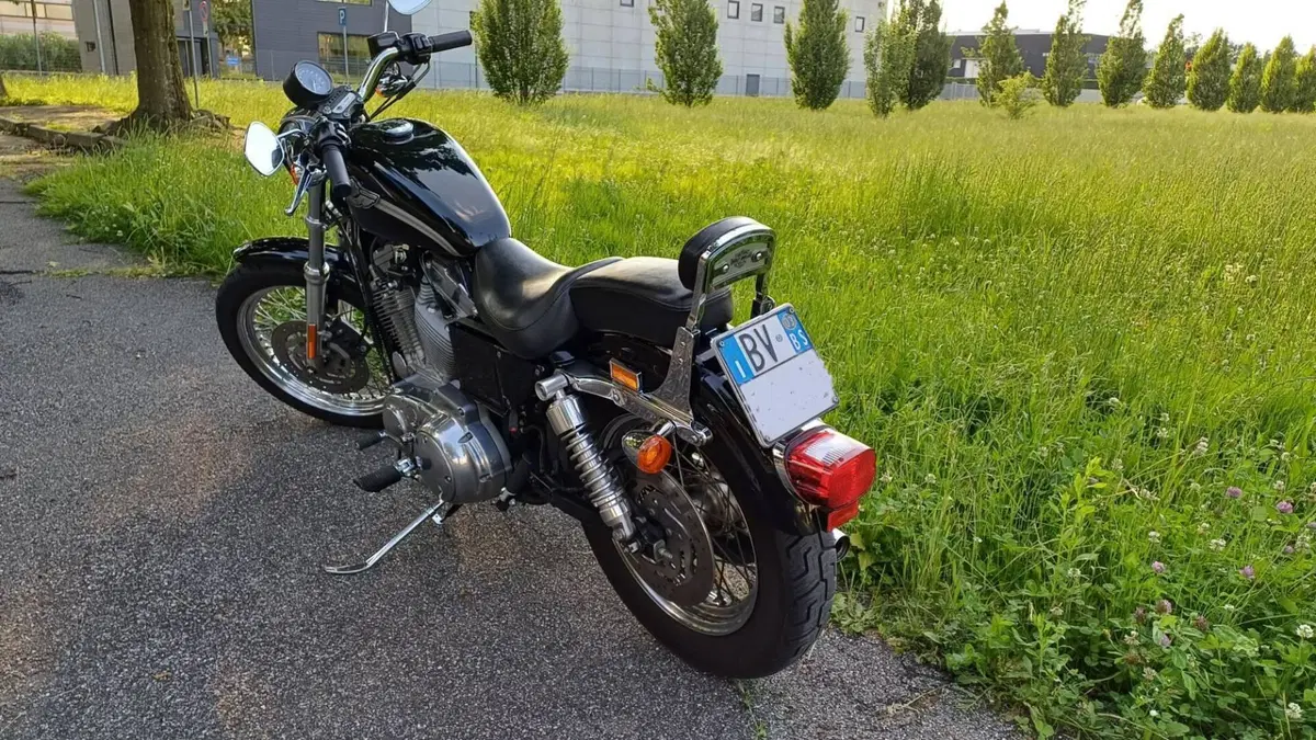 Harley-Davidson 883 Standard (2001 - 05) - XL 883  (2)