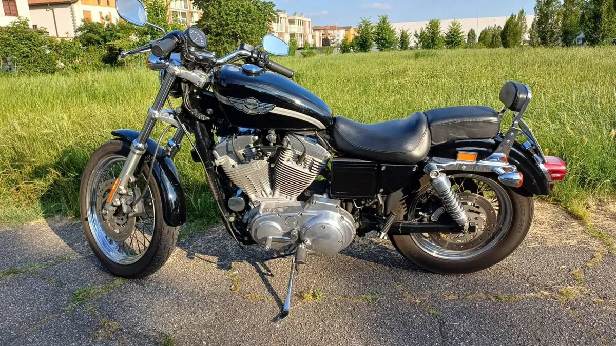 Harley-Davidson 883 Standard (2001 - 05) - XL 883  (3)