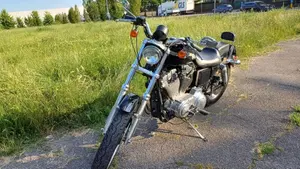 Harley-Davidson 883 Standard (2001 - 05) - XL 883  (4)