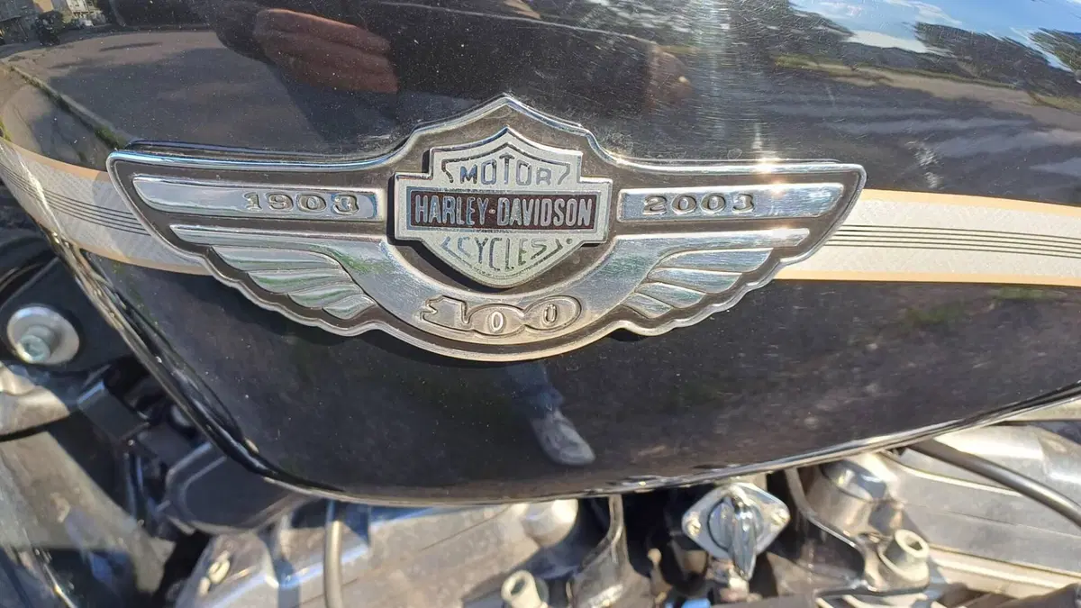 Harley-Davidson 883 Standard (2001 - 05) - XL 883  (5)