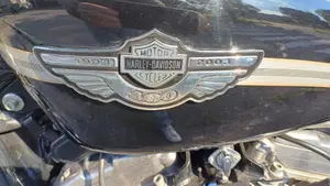 Harley-Davidson 883 Standard (2001 - 05) - XL 883  (5)
